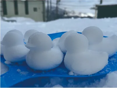 ソトコン 2024の応募写真
