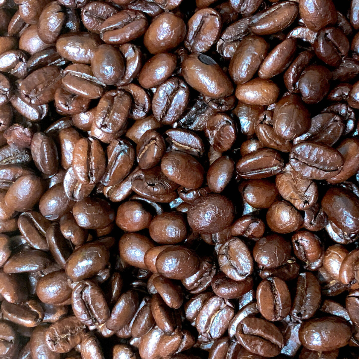 ネパール産オーガニックコーヒー Nepa Coffeeの豆